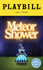 Meteor Shower Limited Edition Official Opening Night Playbill 
