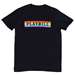 Playbill Pride 2019 Rainbow Brick T-Shirt - PBP19 BRICKTEE