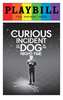 The Curious Incident of the Dog in the Night-Time - June 2016 Playbill with Rainbow Pride Logo 